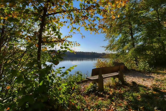 藉靈敏的嗅 藉靈敏的嗅