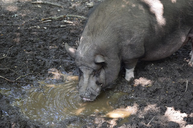 选择并非偶 选择并非偶