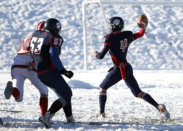 球隊的整體 球隊的整體